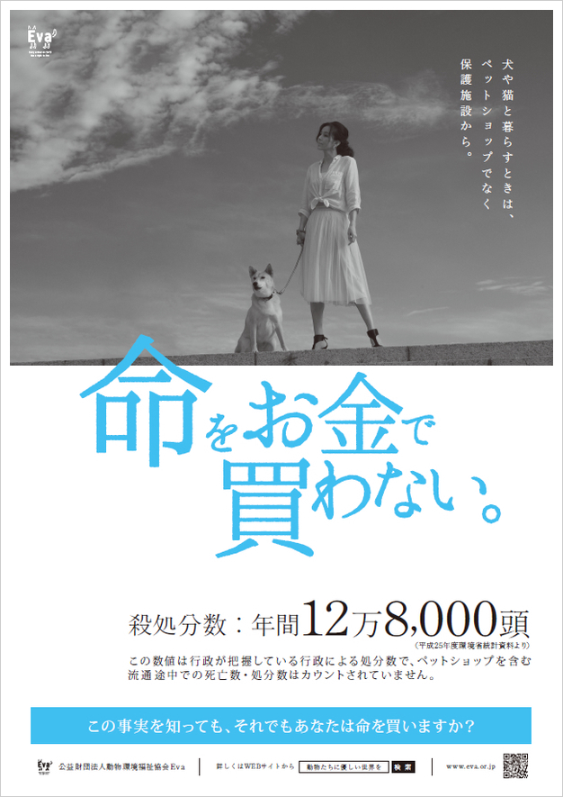 Aya Sugimoto EVA Poster Cover 01/2016 Photo by Hiro Sato